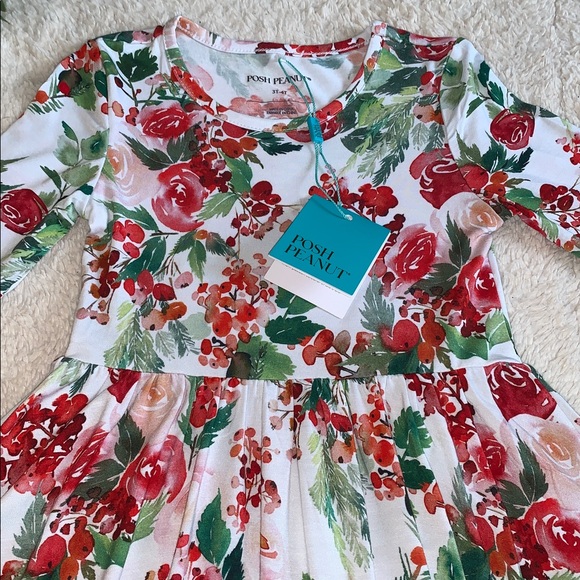 NWT Posh Peanut Beatrix Ruffled Twirl Dress 3/4 Holiday Bamboo - Picture 6 of 7